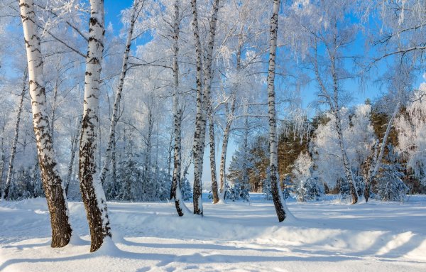 Хвалынск природа зимой