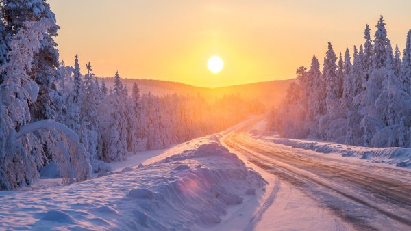 Морозное утро в лесу