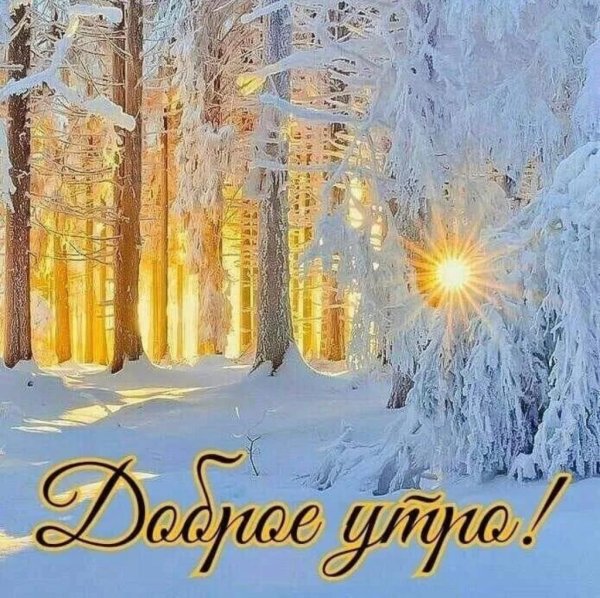 Зимний Солнечный пейзаж