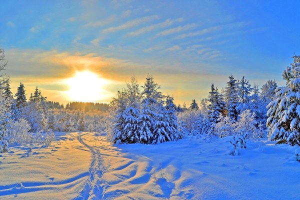Солнечное зимнее утро