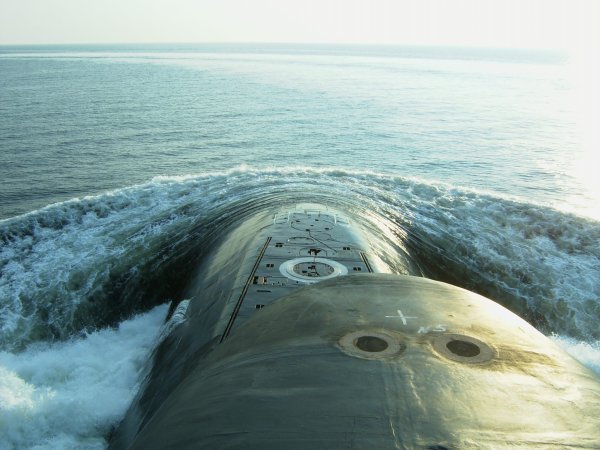 Подводная лодка проекта 667бдрм Дельфин сверху