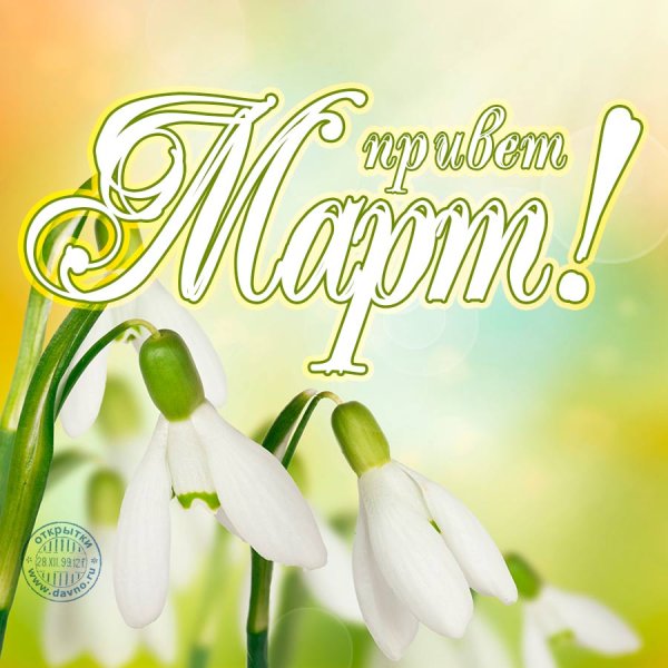 1 Марта день кошек