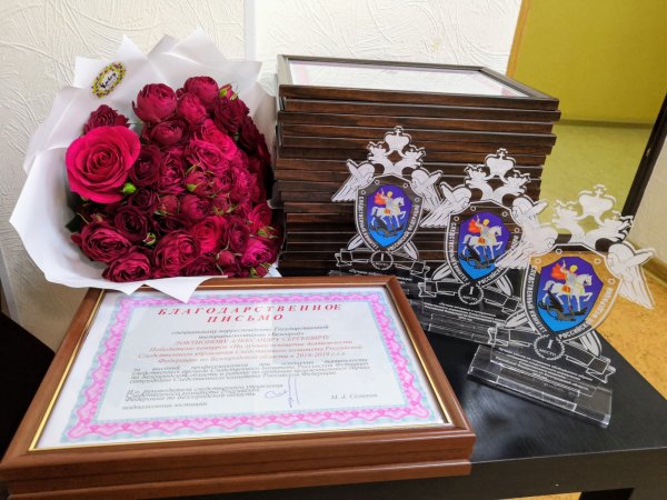 День следственногокамитета