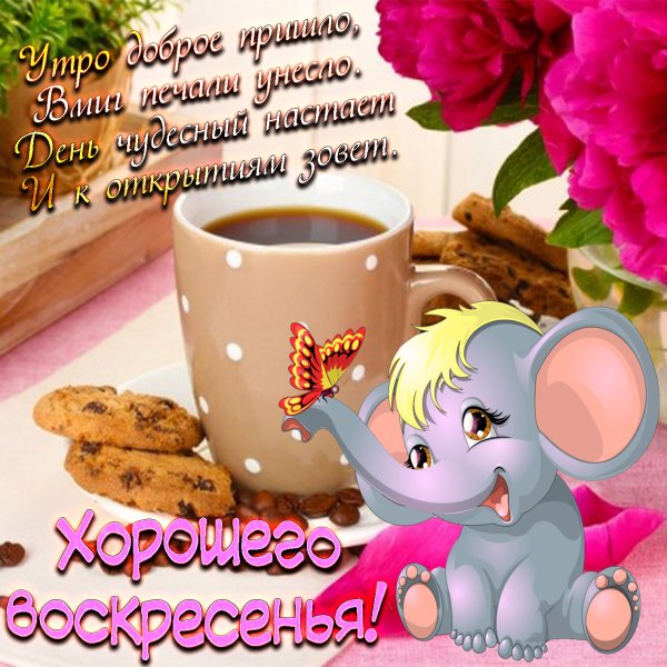 Хорошего воскресного денечка и отличного настроения