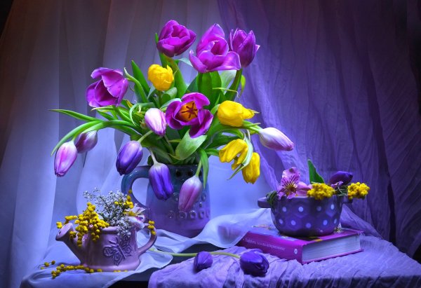 Котенки и цветы