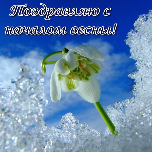Хорошего дня весны в душе