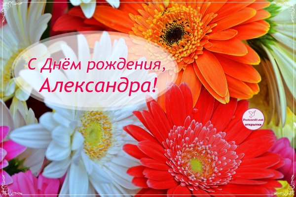 С днём рождения Александра