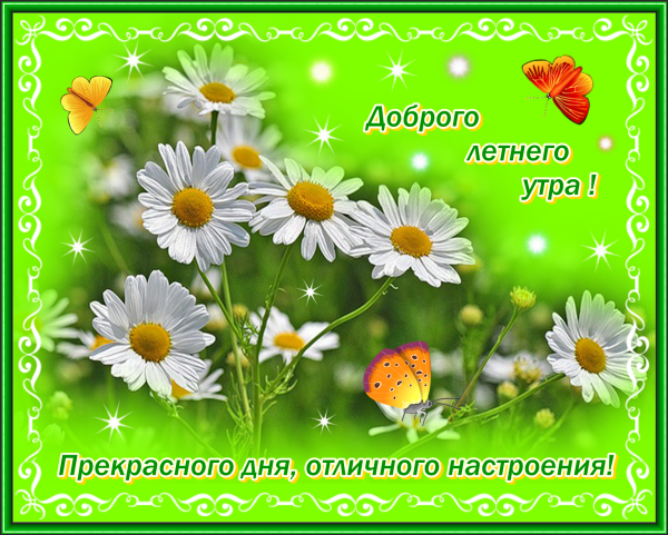 Хорошего летнего дня и отличного настроения