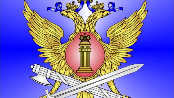 Уголовно-исполнительная система ФСИН