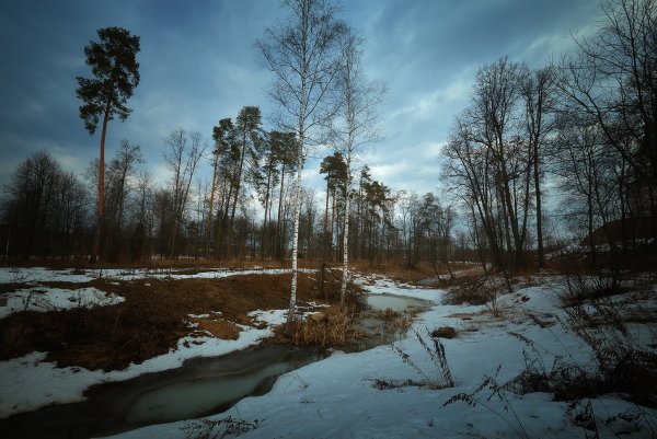 Народный календарь 7 декабря Катерина Санница