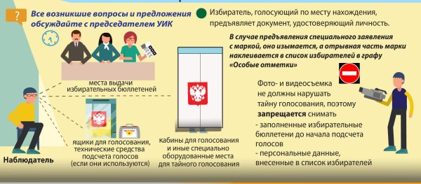 Выборы наблюдатели