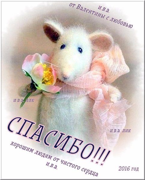 День крысы