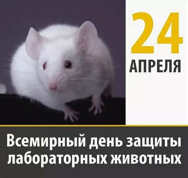 Der Ratschlag рисунок