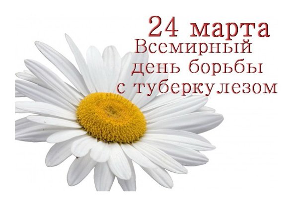 24 Марта туберкулез акция белая Ромашка