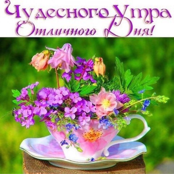 Добрые пожелания
