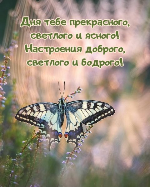 Доброго дня и хорошего настроения