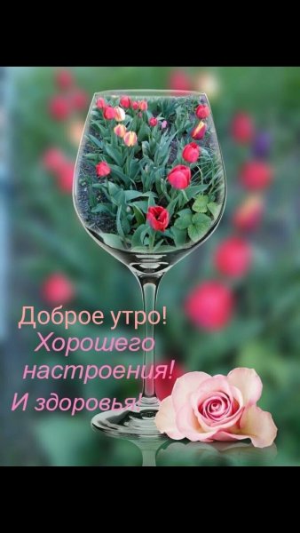 Пожелания хорошего дня и здоровья