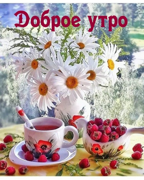 Доброе утро четверга