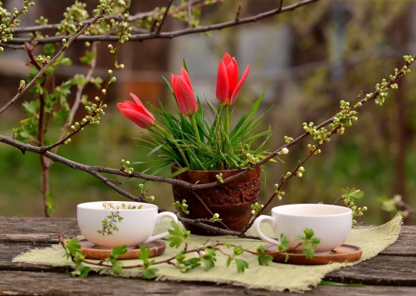 Уютная Весна