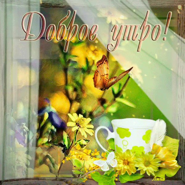 Доброе летнее утро