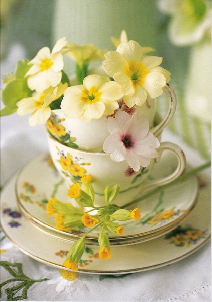 Доброе Весеннее утро