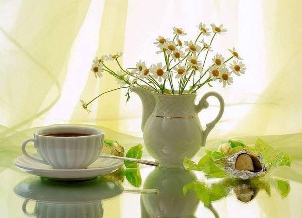 Прекрасного утреннего пробуждения и хорошего дня