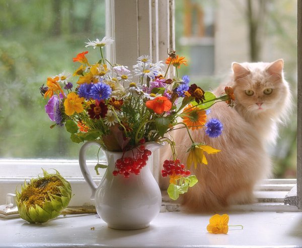 Доброе утро и отличного настроения