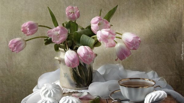 Натюрморт с зефиром