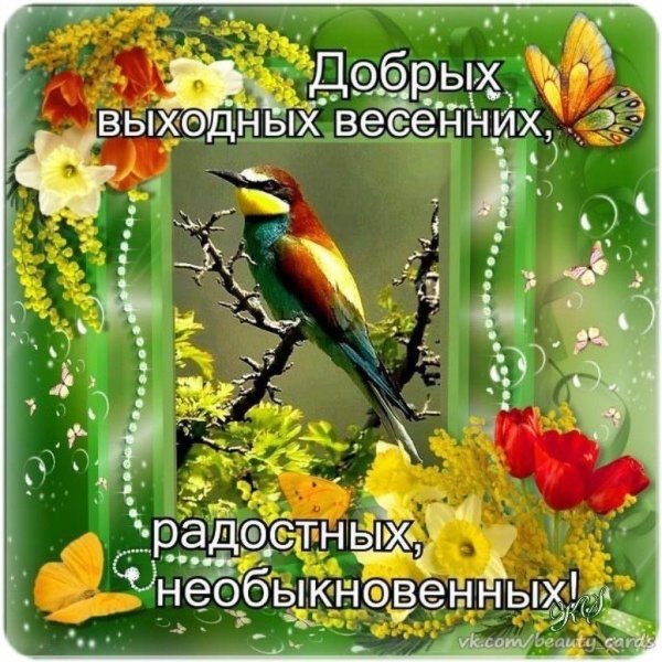 Радостного дня и хорошего весеннего настроения