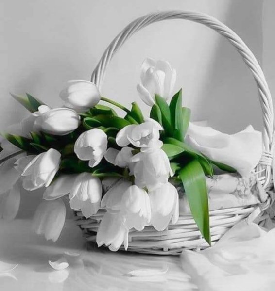 Доброе утро стподснежниками