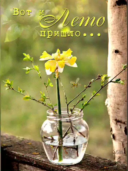 Хорошего последнего весеннего дня