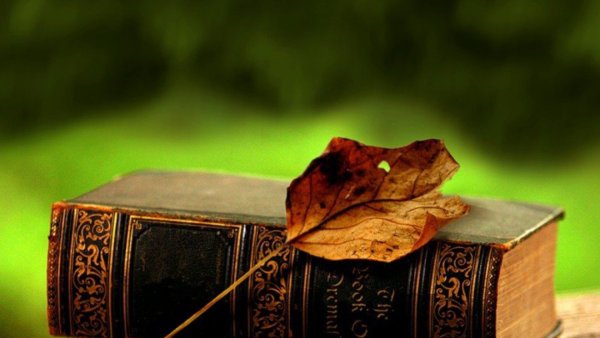 Раскрытые книги с цветами