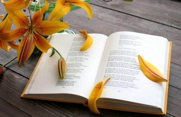 Цветы для обложки книги стихов