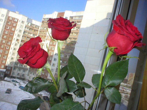 Праздник день ЖКХ И бытового обслуживания