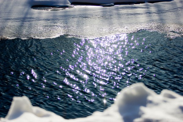 Всемирный день воды презентация