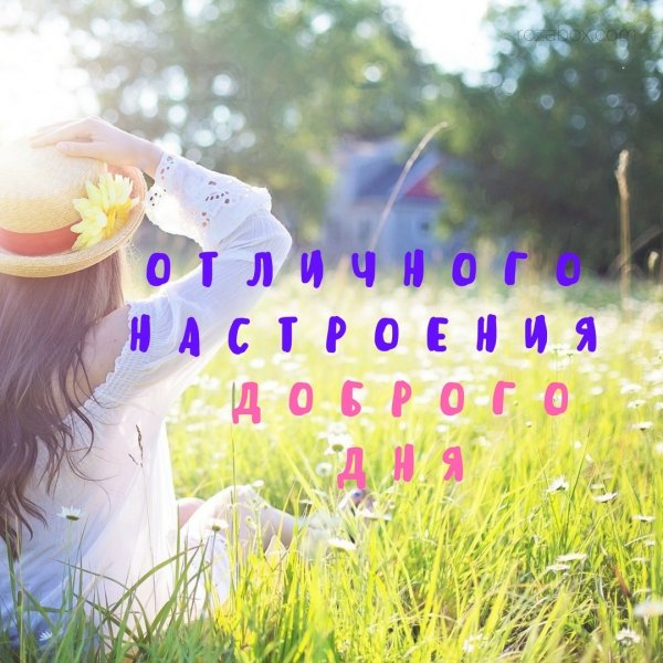 Отличного дня и позитивного настроения