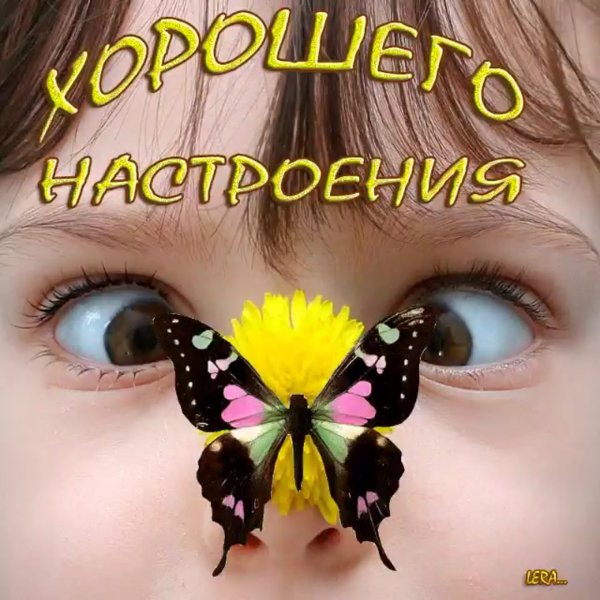 Бабочки с пожеланиями