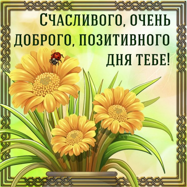 Картинки с пожеланиями хорошего дня