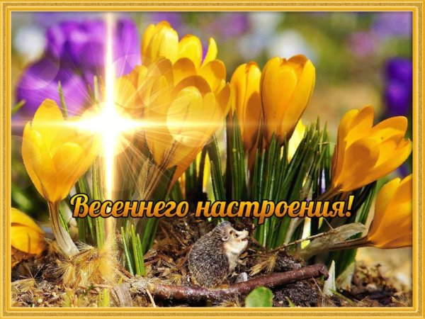 Хорошего весеннего дня
