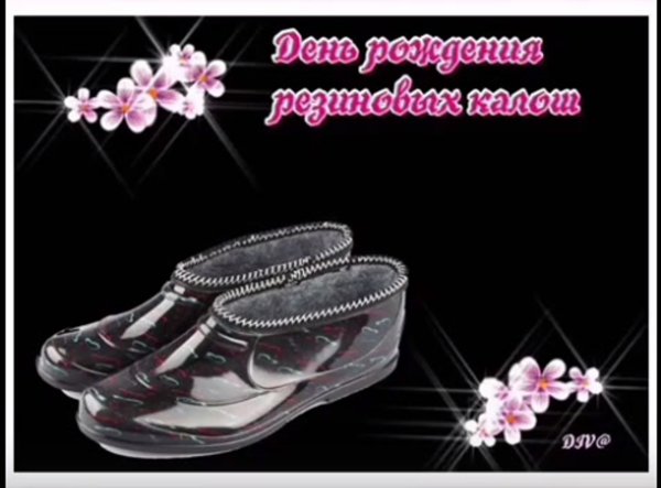 День рождения калош