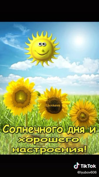 Картинки солнечного дня и хорошего настроения (46 фото)