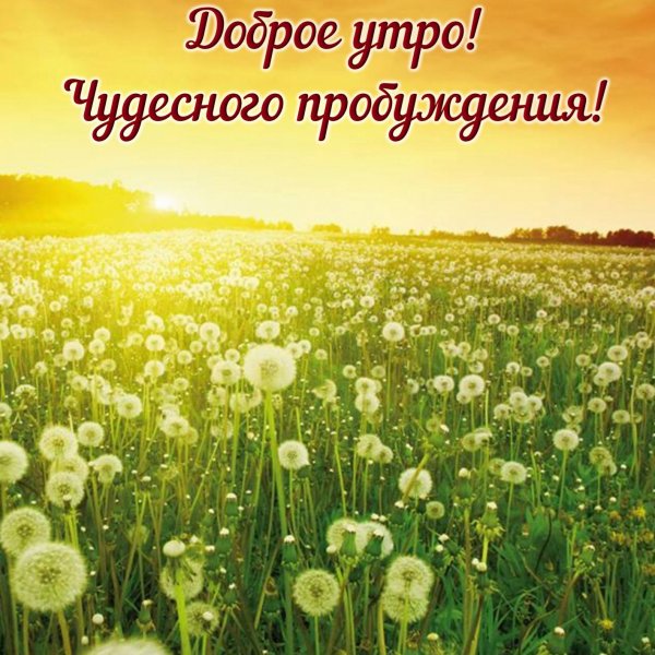 С добрым утром