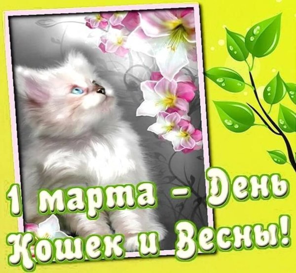 1 Марта день кошек