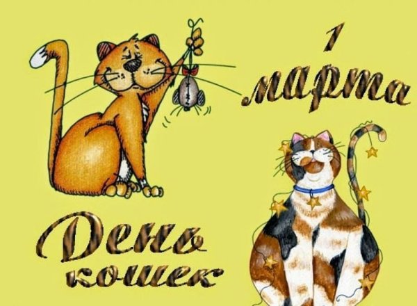 Всемирный день кошек