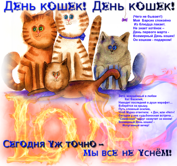 Поздравления с днём кошек