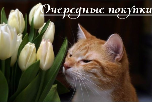 Пахнет весной