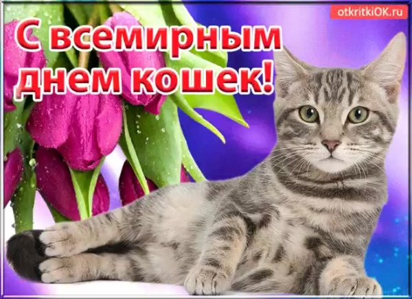 Поздравительные открытки с днем кошек