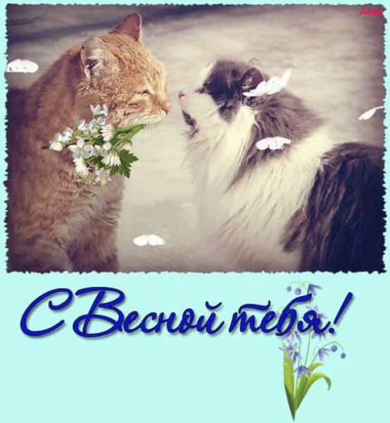 С весной тебя