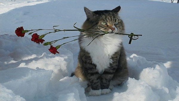 Весна уже пришла