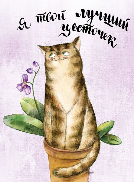 Всемирный день кошек